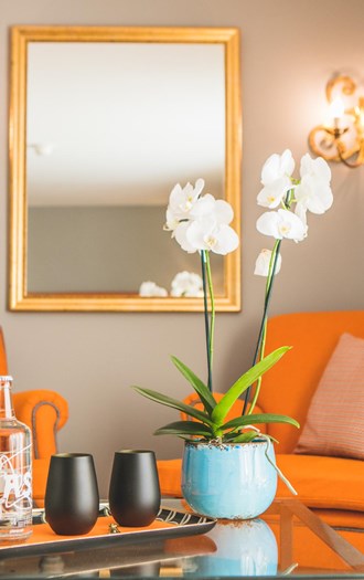 Art Hotel Riposo Ascona Easy Room 1B1A0796