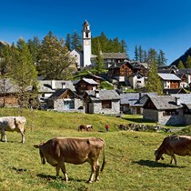 Bosco Gurin Val Rovana Large